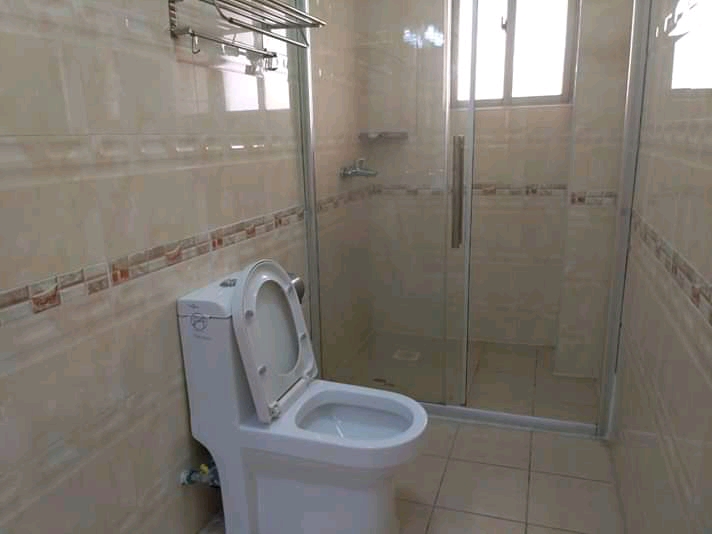 Hurlingham Modern  Bedsitter For Rent - Image 3