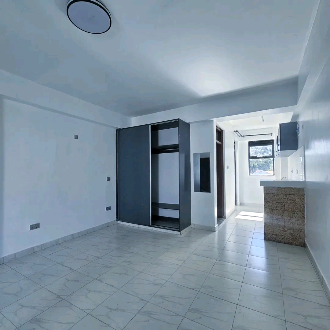HURLIGHAM BEDSITTER FOR RENT  - Image 3