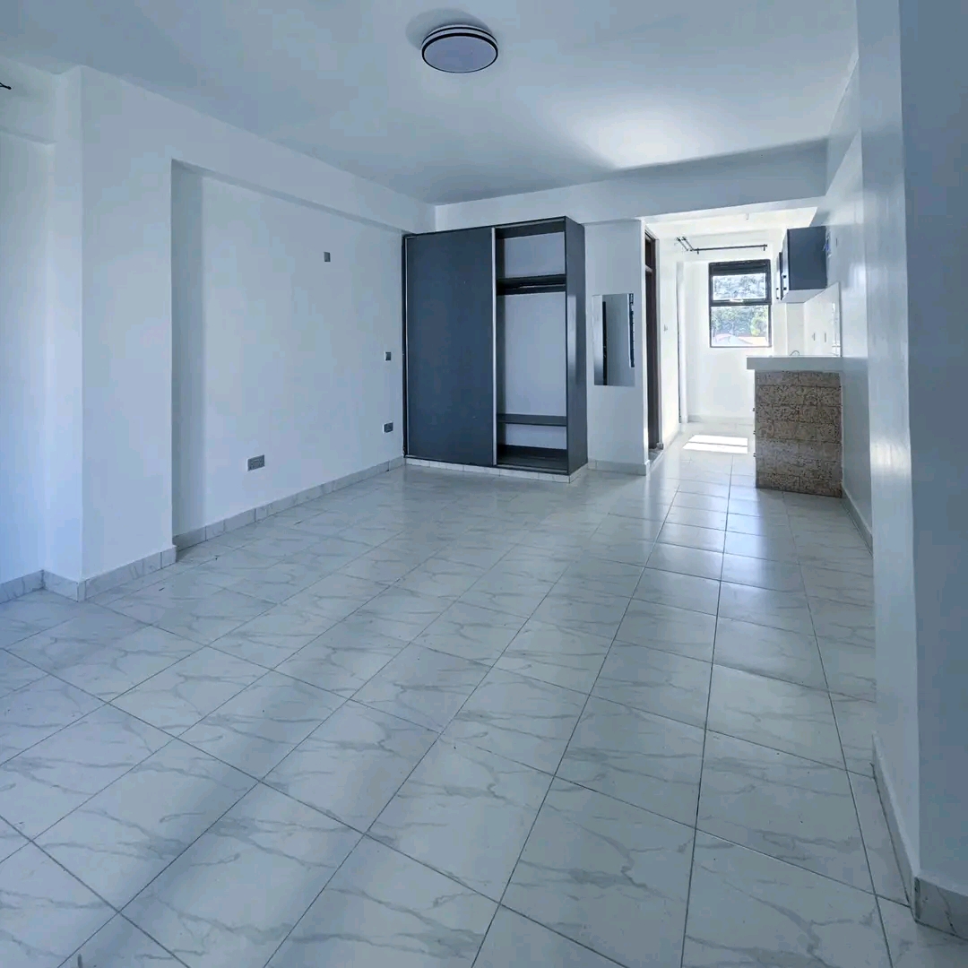 HURLIGHAM BEDSITTER FOR RENT  - Image 4