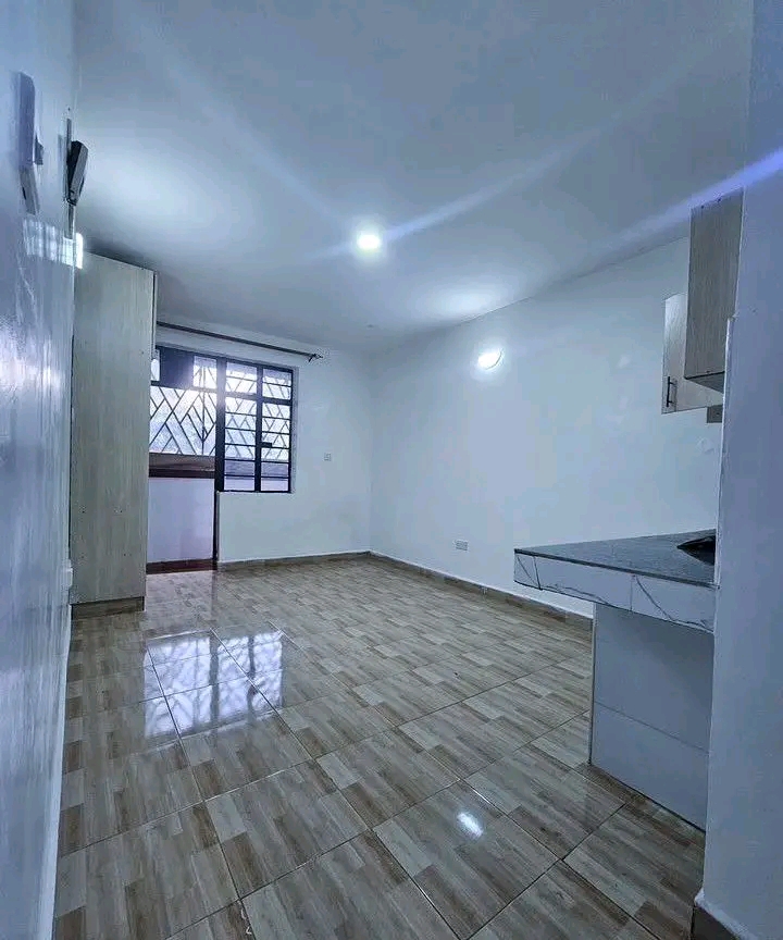 1 bedroom Bedsitter for For Rent in NGONG , KAJIADO 