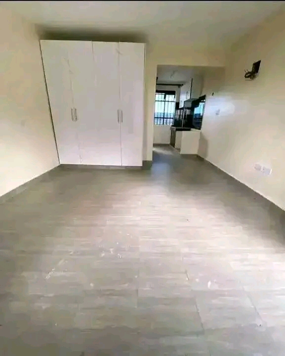 1 bedroom Apartment for For Rent in NYAYO, Nairobi