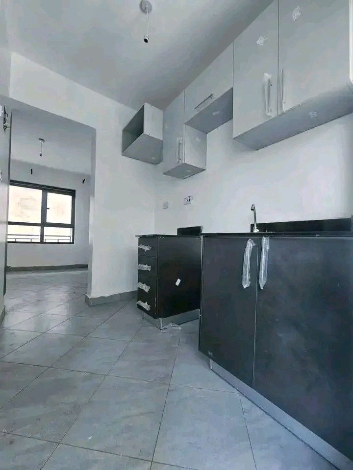 MERU  BEDSITTER  FOR  RENT  - Image 4