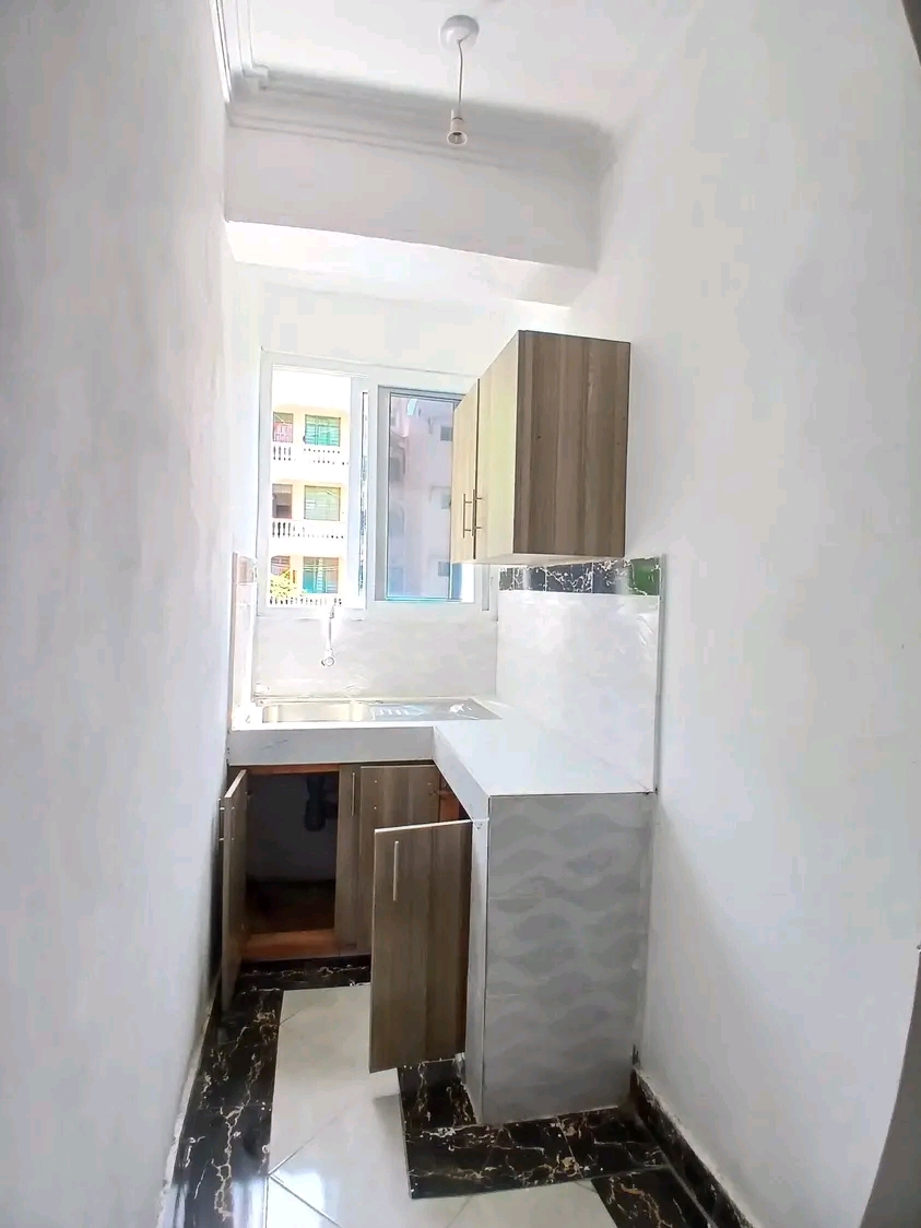 MERU BEDSITTER FOR RENT 