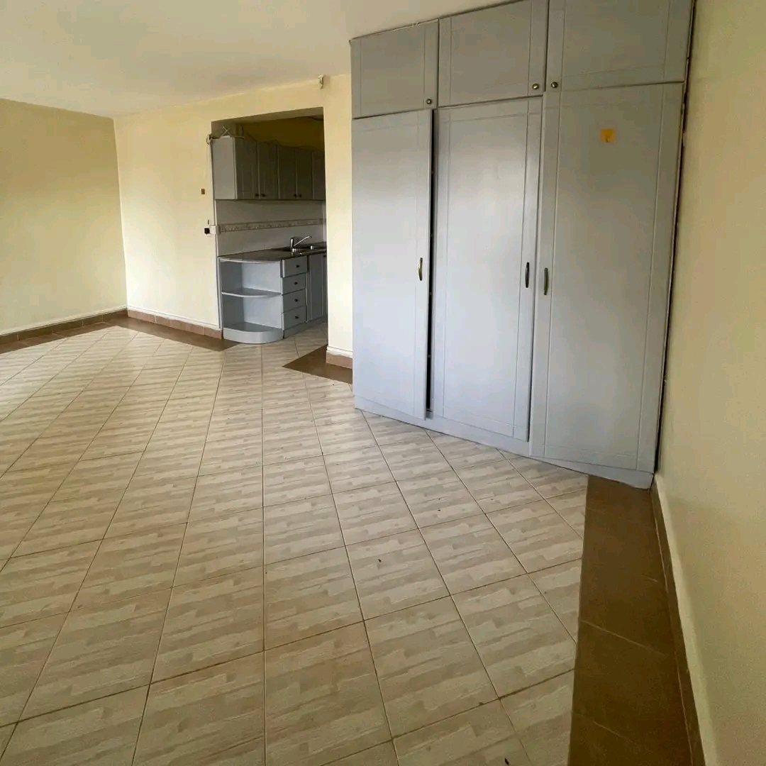 Kisumu Bedsitter for Rent - Image 2