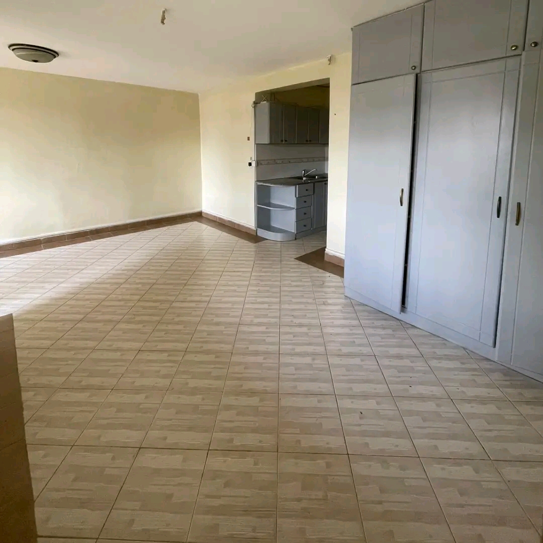 Kisumu Bedsitter for Rent - Image 3