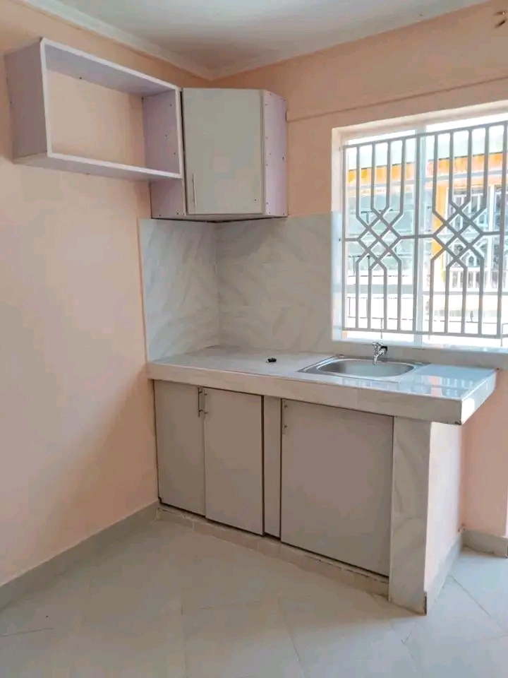 MLOLONGO BEDSITTER FOR RENT  - Image 5