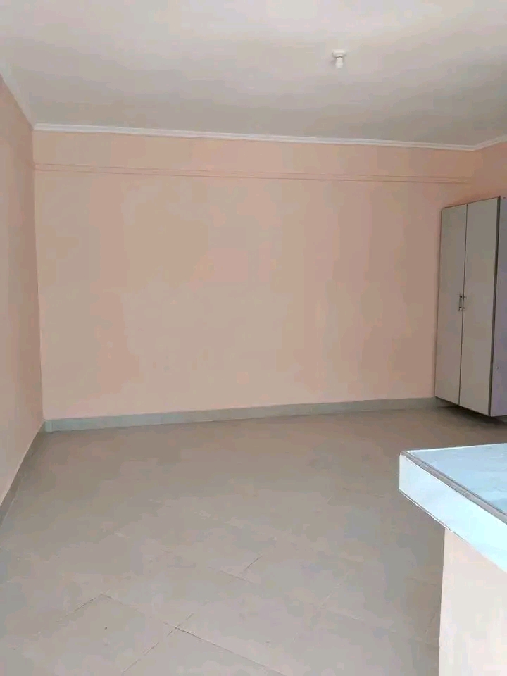MLOLONGO BEDSITTER FOR RENT  - Image 6