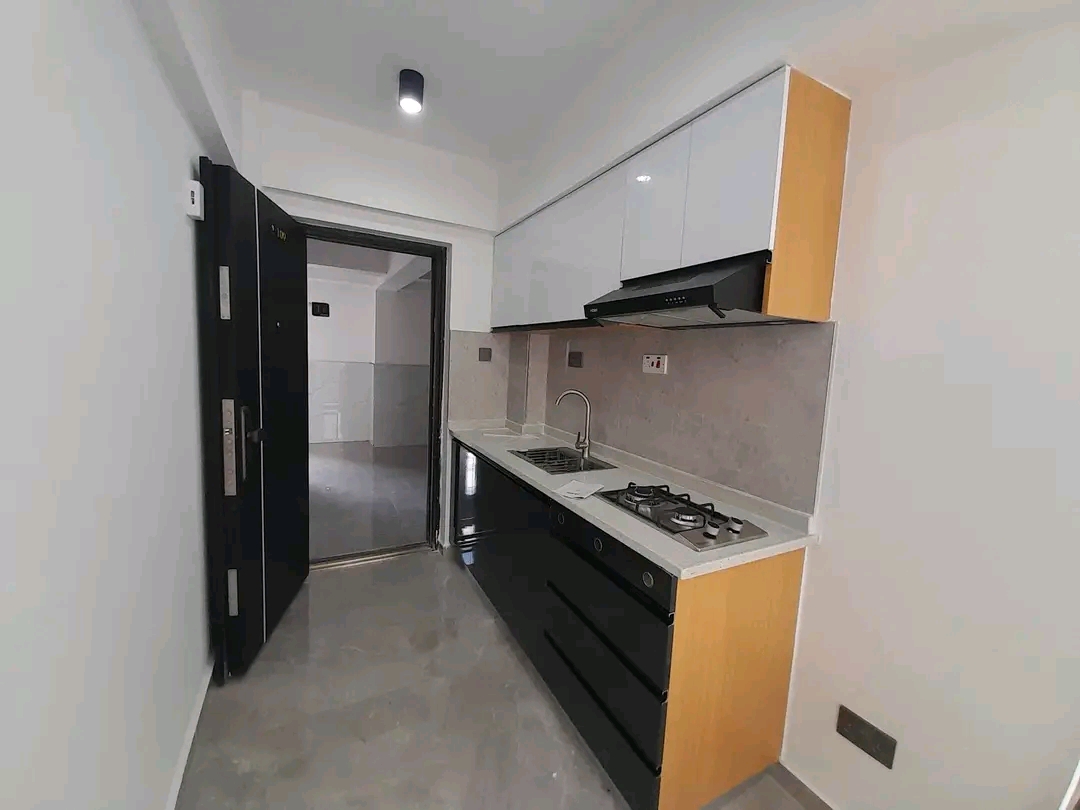 HURLIGHAM BEDSITTER FOR RENT  - Image 3