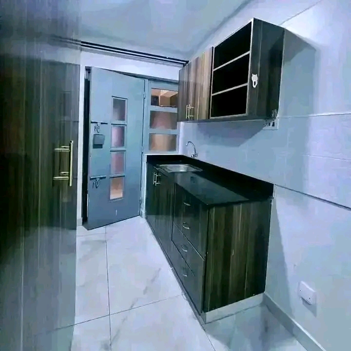 NGARA BEDSITTER FOR RENT  - Image 3