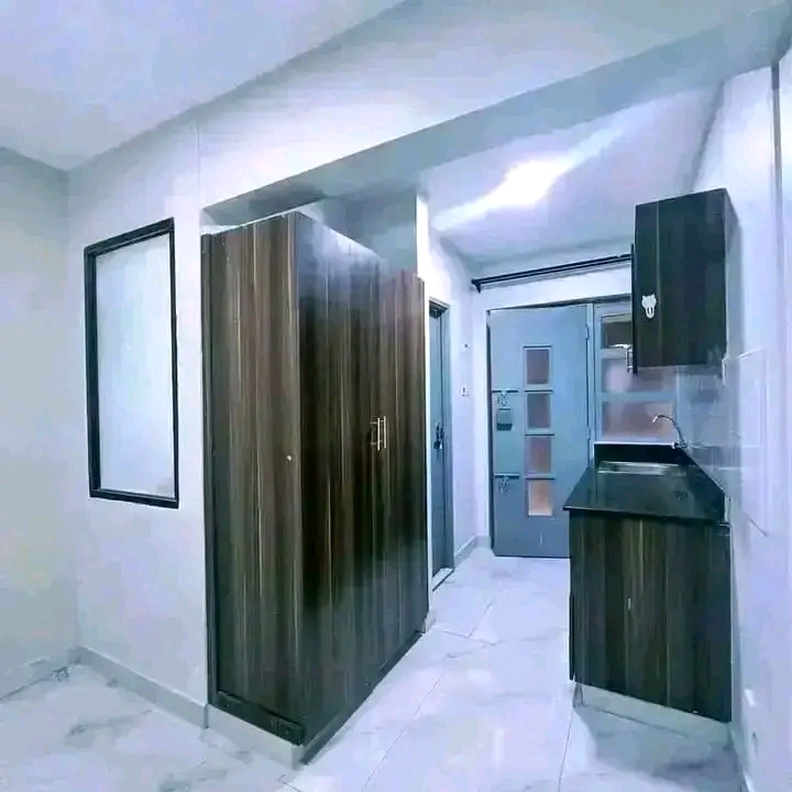 NGARA BEDSITTER FOR RENT  - Image 4