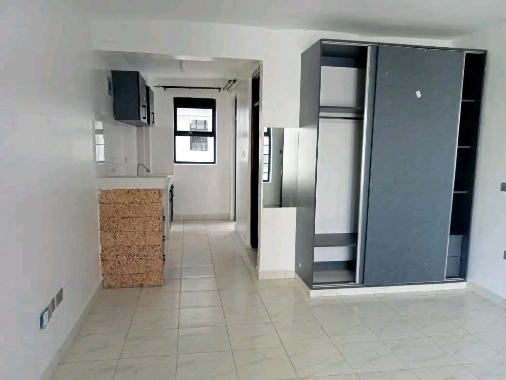 1 bedroom Bedsitter for For Rent in NYAYO high rise, Nairobi