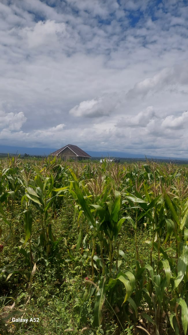 1 bedroom Apartment for Land in Mukima, , Nanyuki