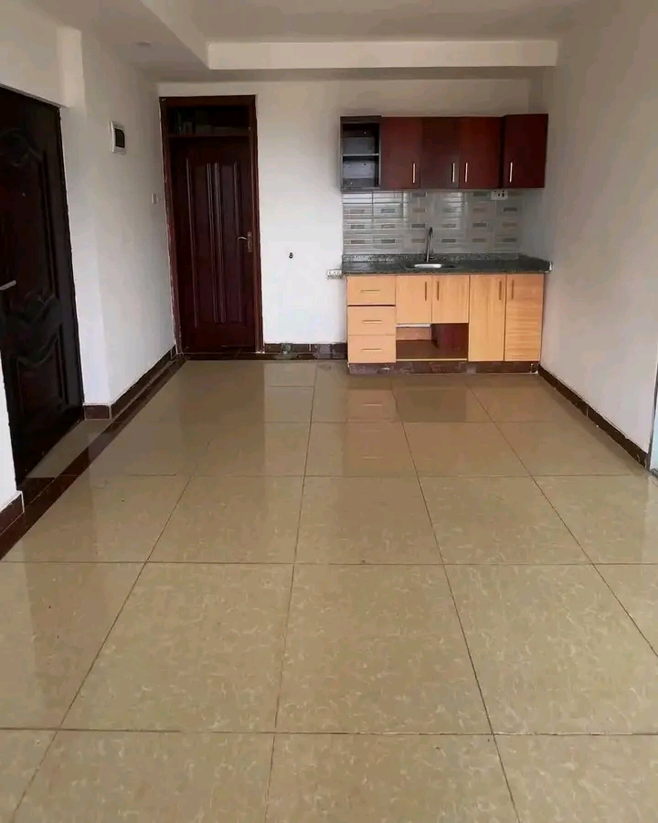 Parklands spacious Bedsitter  - Image 3