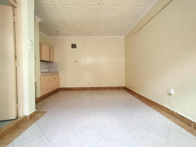 MERU    bedsitter  for rent - Image 2